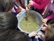 Světem zdraví s vůní bylinek